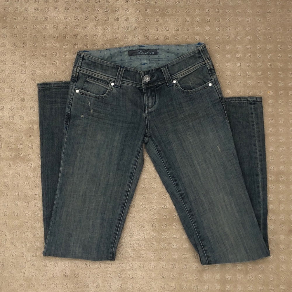 Level 99 flare jeans